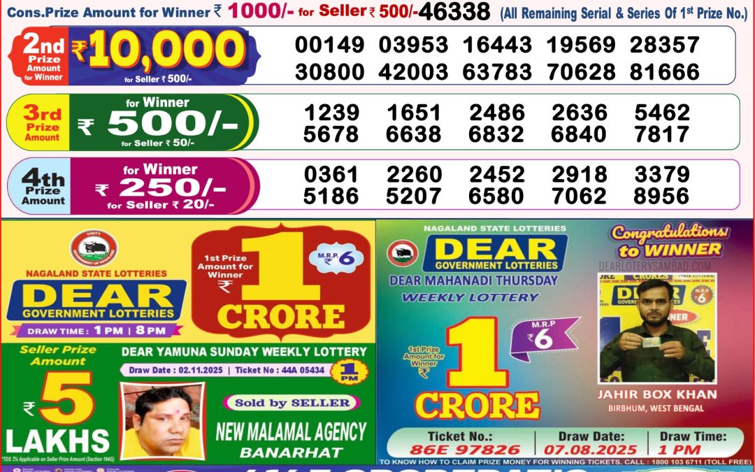 8 PM Lottery Sambad Result Today Live 11.11.25: Check Winning Numbers
